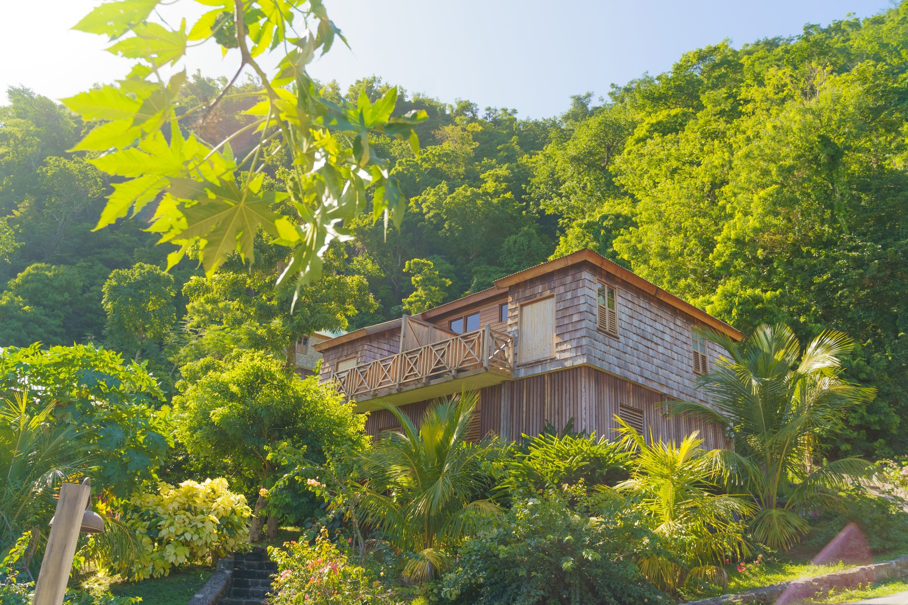 Jungle Bay Dominica
